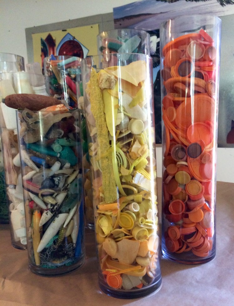 Richard Lang and Judith Selby Lang One Beach Plastic